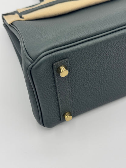 Hermès Birkin 25 Togo Vert Mangrove